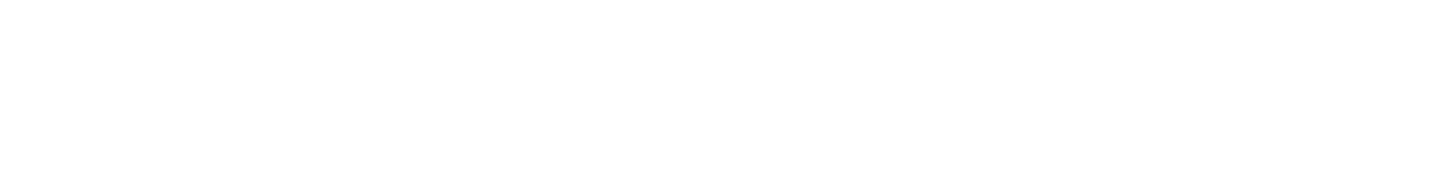 Schaeffler client logo