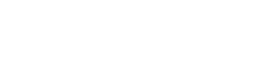 Borri supplier logo