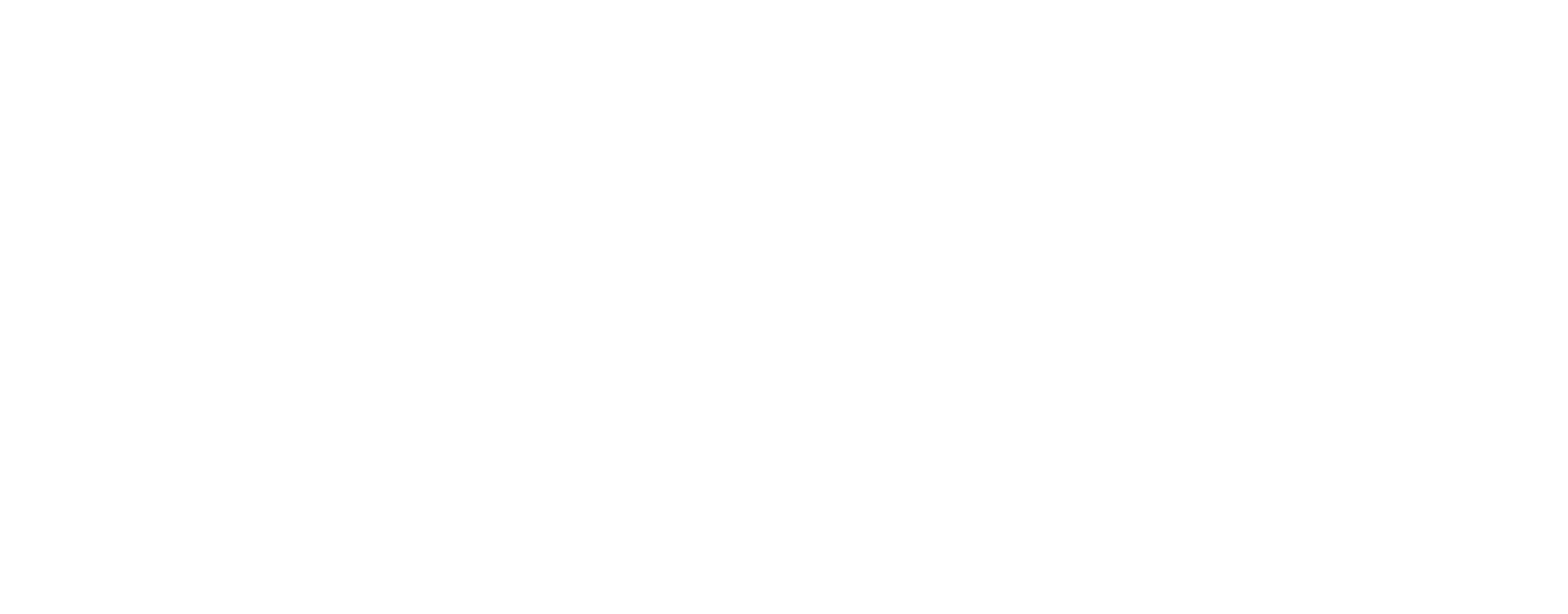 Riello UPS supplier logo